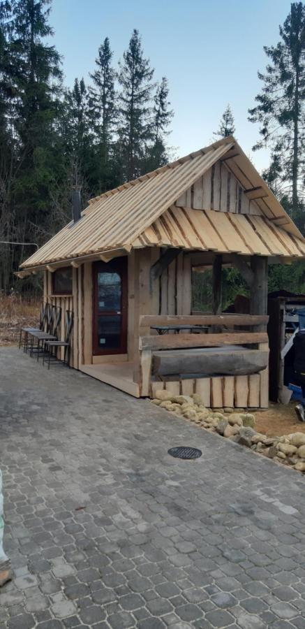 Apartament Pod Modrzewiem * Zakopane