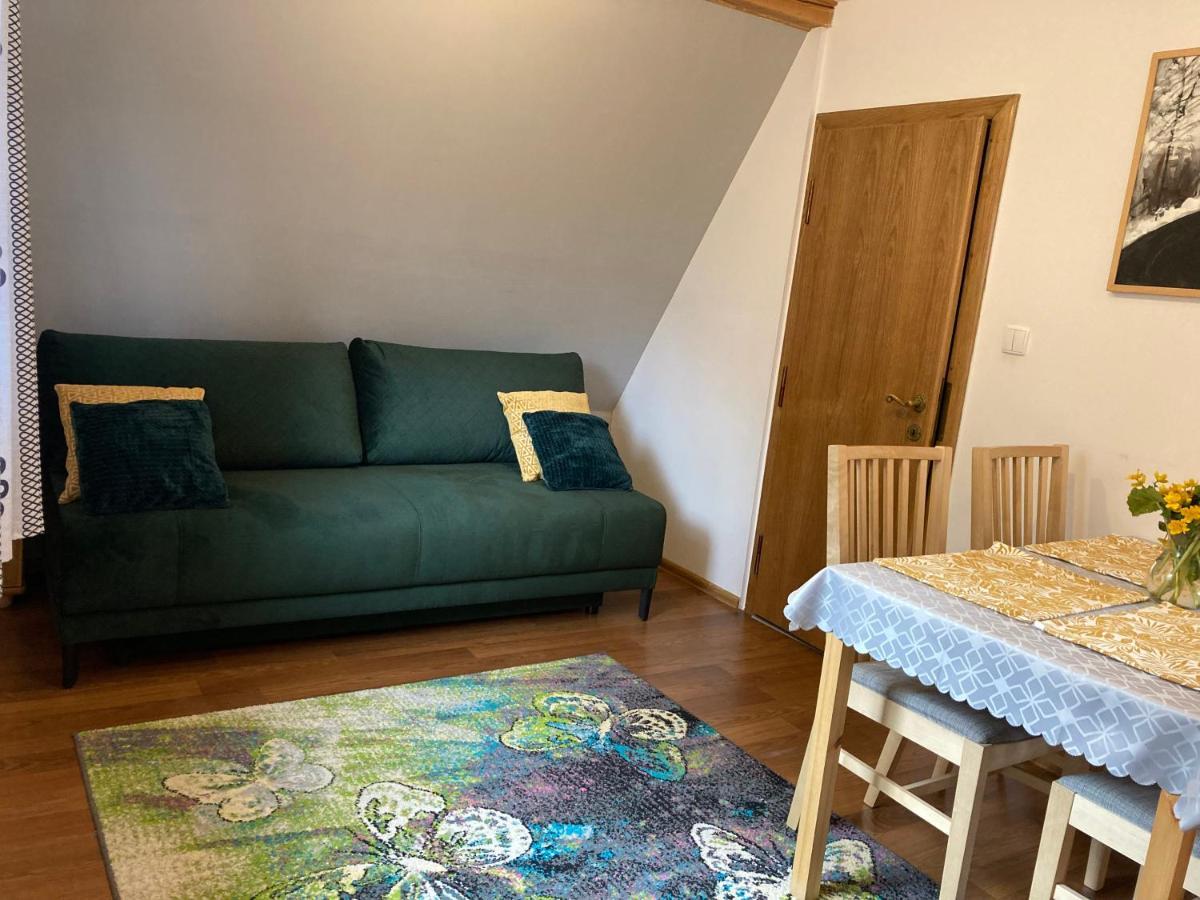 Homestay Apartament Pod Modrzewiem