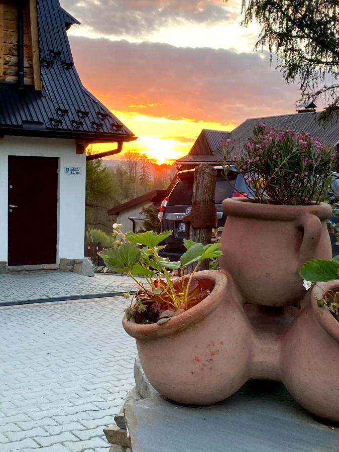 Homestay Apartament Pod Modrzewiem